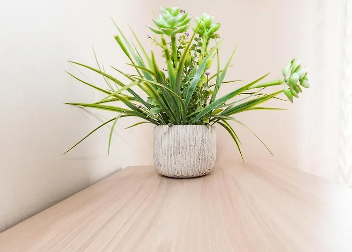 Ospedale Civile 1 - F&l *